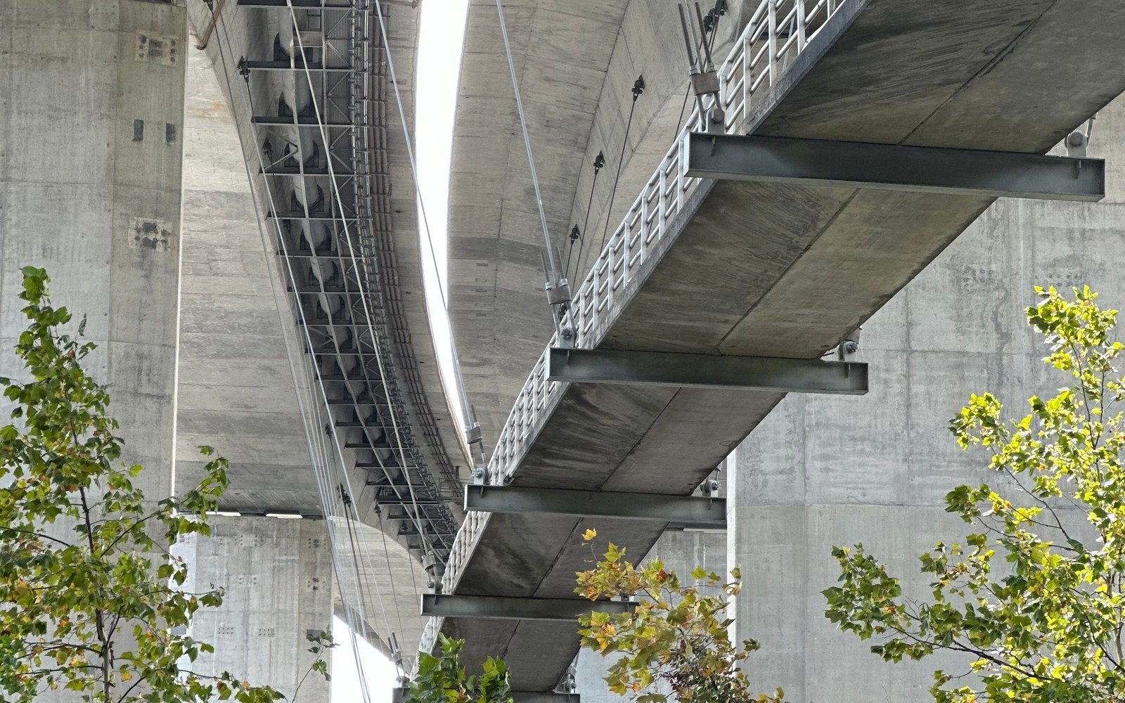 The underside of a concrete bridge deck, showing the soffit, steel cross beams and an access walkway, with foliage in the foreground