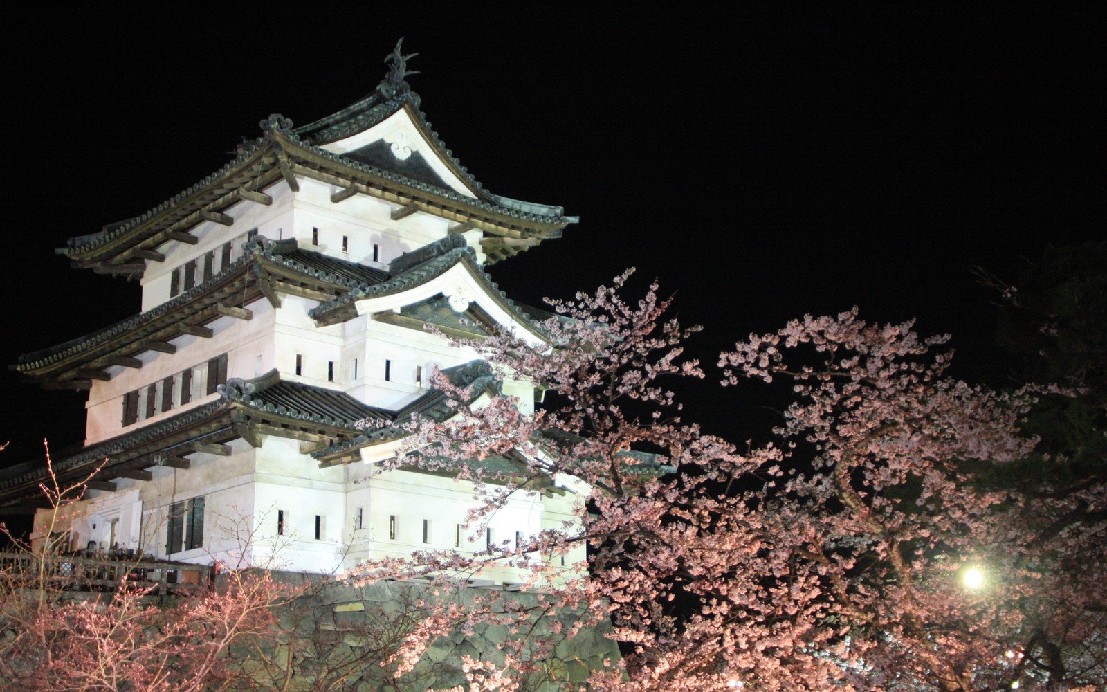 The white plastered keep of Hirosaki Castle lit from below at night, its three tiled roofs stepping up against a black sky, with pale cherry blossom filling the right of the frame and the stone base visible beneath