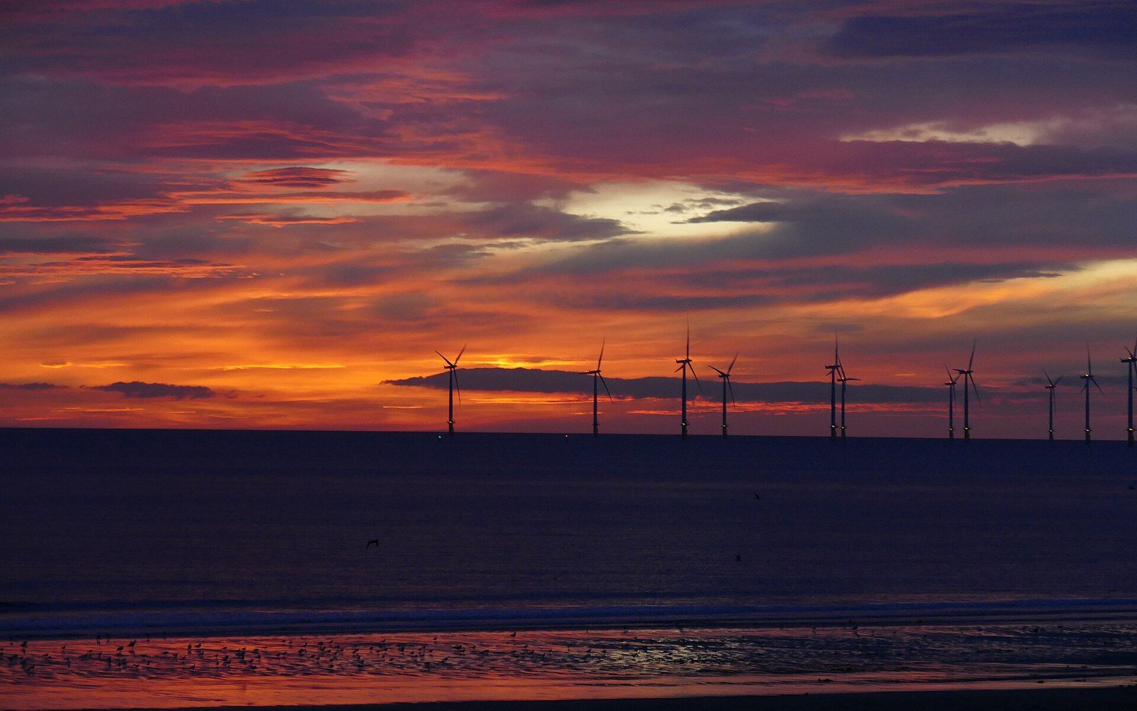 A line of offshore wind turbines on the horizon at first light, silhouetted against a red and orange sky above a dark shore