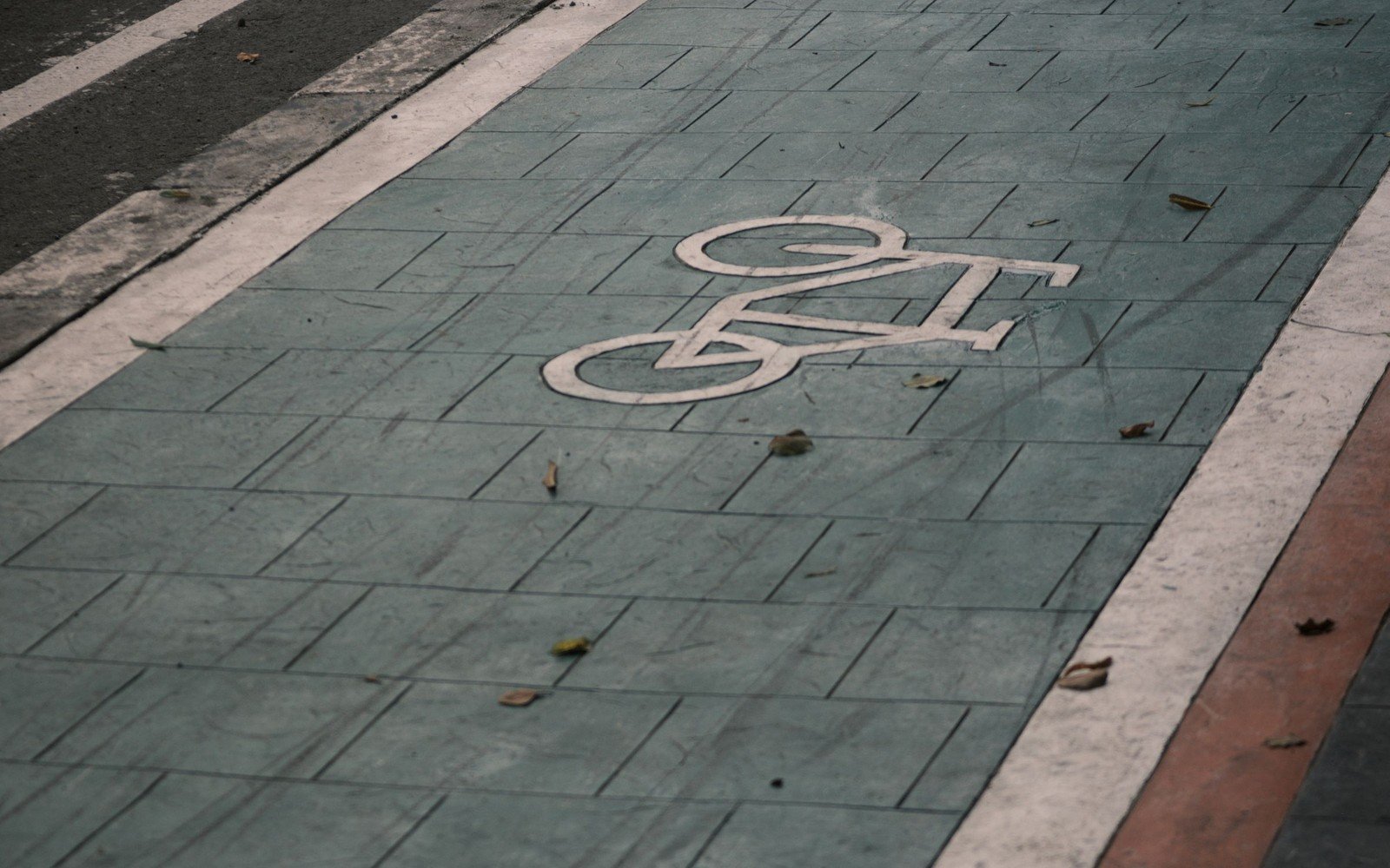 A painted bicycle symbol on a block paved cycle lane beside a kerb, with fallen leaves on the surface