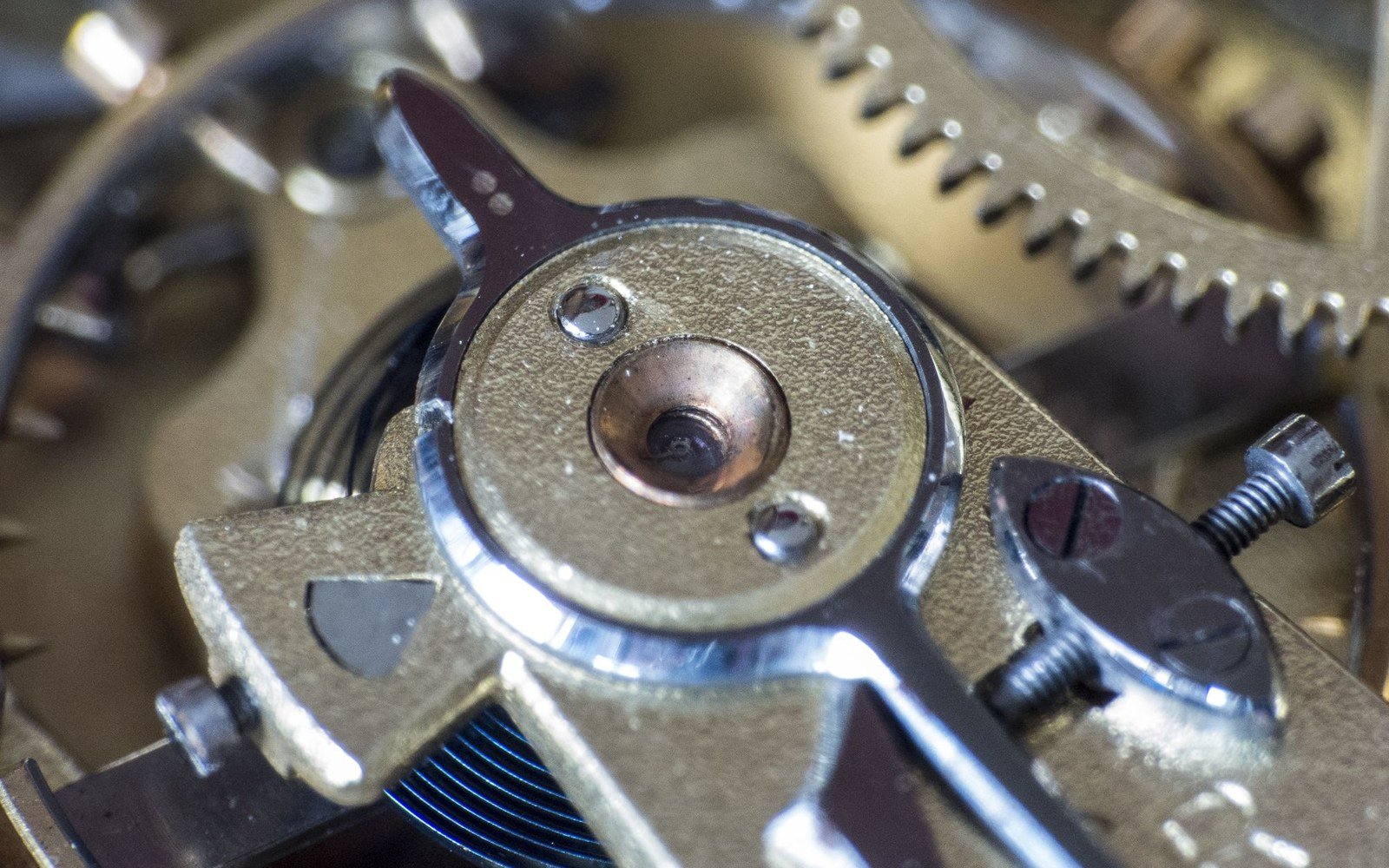 A macro view of the gear train and balance of a mechanical watch movement, showing toothed wheels, jewelled bearings and slotted screws