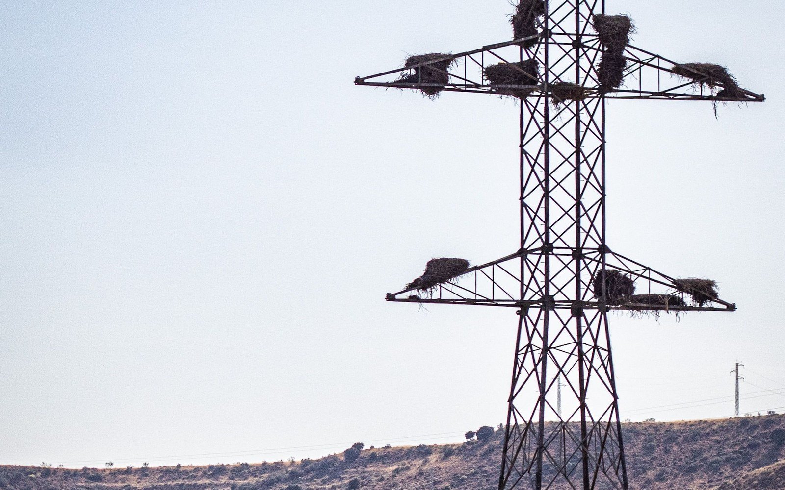 A steel lattice electricity pylon photographed from below against a pale sky, two crossarms carrying insulator sets, a bare stony hillside with low scrub at the foot of the frame and a second smaller pylon on the ridge behind