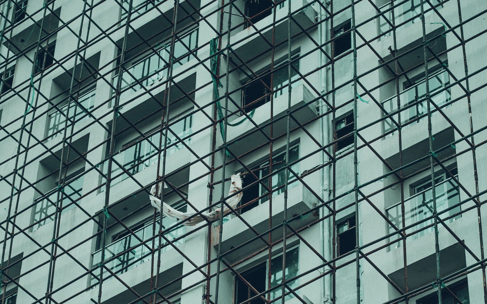 Dense steel tube scaffolding covering the front of an unfinished concrete apartment block, with open window openings and balcony slabs visible behind the tubes