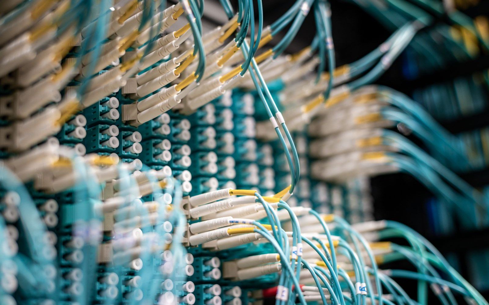 Bundled optical patch leads running from a rack mounted fibre distribution frame, connectors seen close up