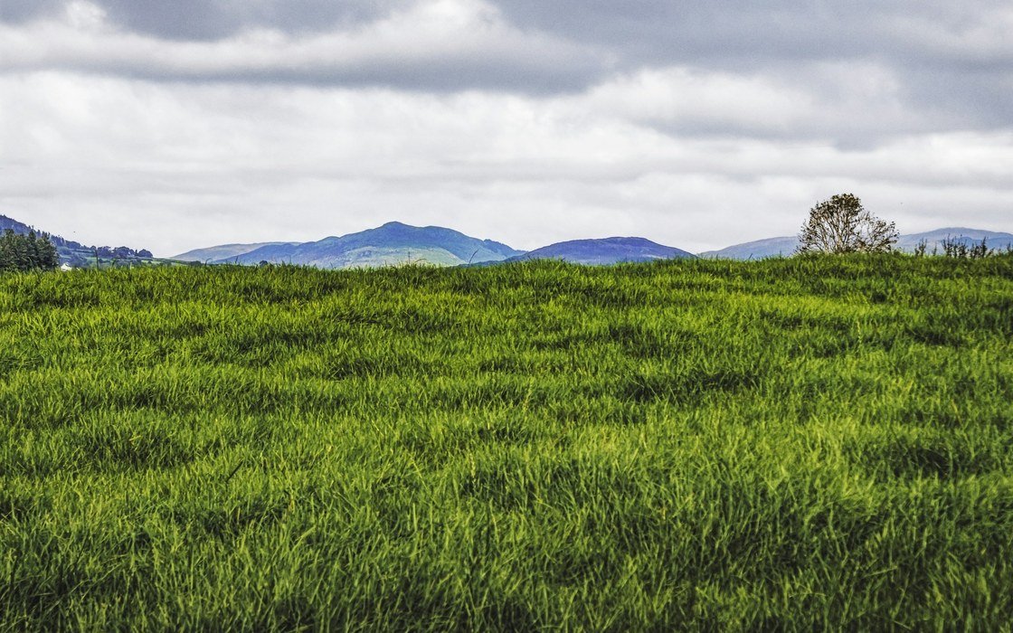 Rough grazing running towards low blue hills under a broken grey sky
