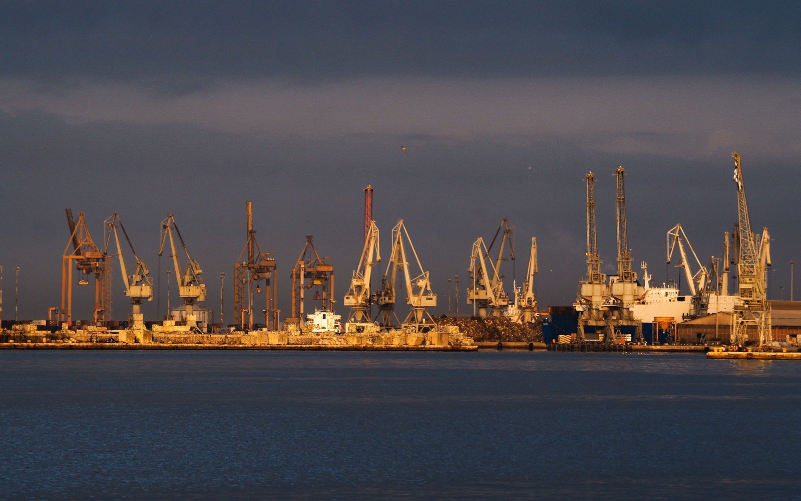 A line of quayside cranes and a general cargo vessel stand along a working commercial port under low evening light, seen across open water