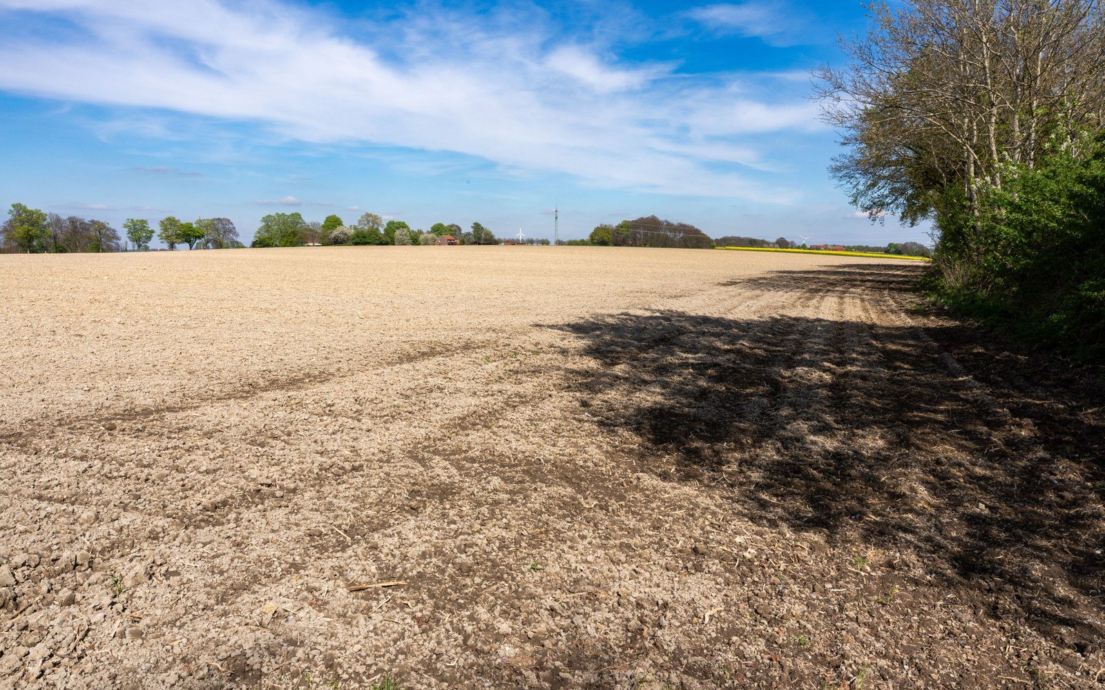A ploughed arable field under a blue sky with scattered cloud, bounded by a hedgerow and a line of mature trees on the horizon
