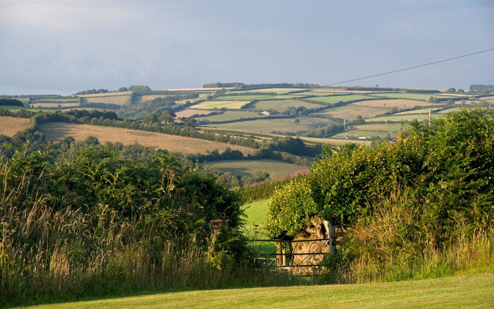 Rolling fields divided by hedgerows and tree belts under a pale clouded sky