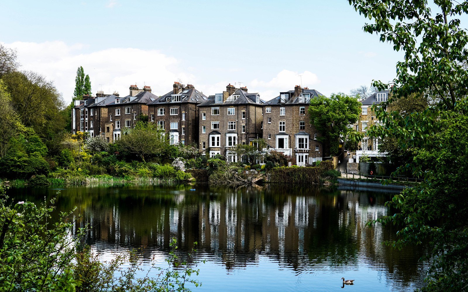 A still pond on Hampstead Heath reflecting a terrace of tall brick houses behind a bank of trees, with a single goose on the water