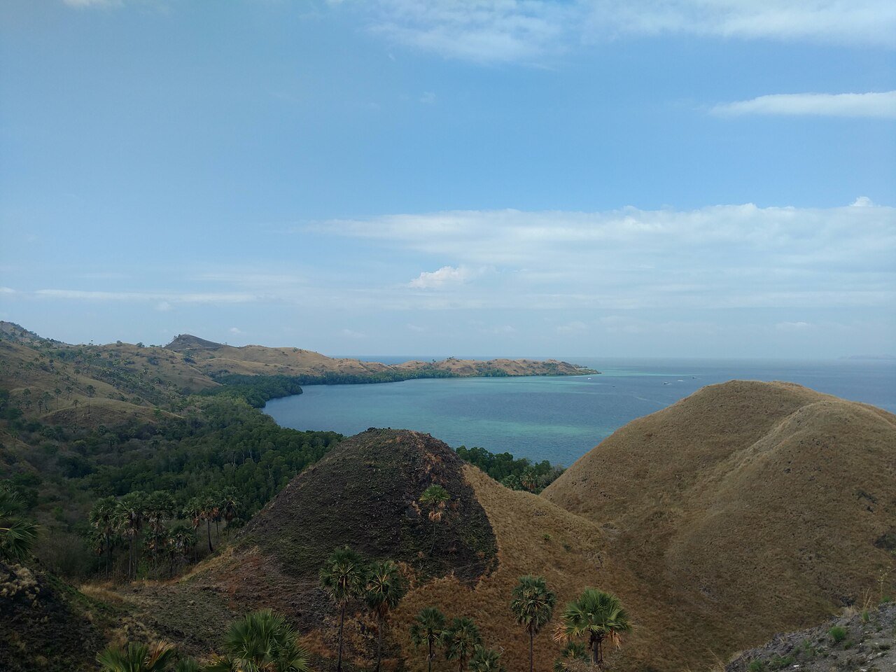 Dry grassy hills falling to a sheltered bay with palms along the shoreline