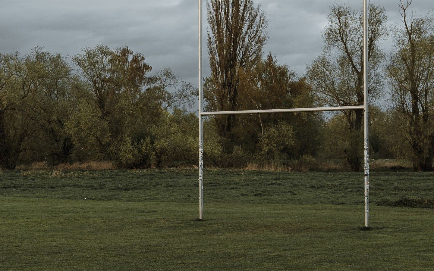 An empty grass sports pitch with tall white goalposts and a line of bare trees under grey cloud