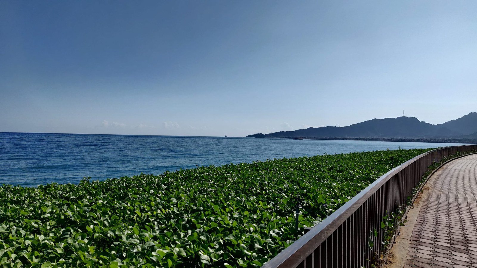 The coast at Dibba Al-Fujairah with the Hajar mountains behind it