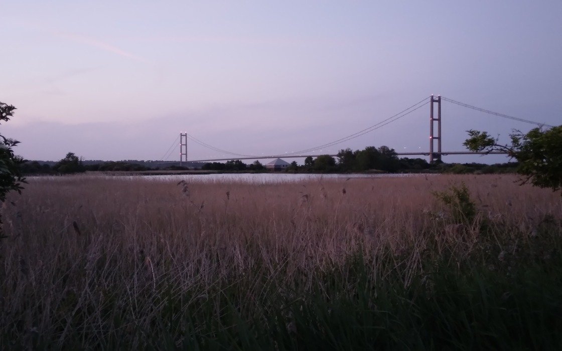 A long single span suspension bridge seen at dusk across a wide bed of pale reeds, its towers and cables in silhouette against a violet sky