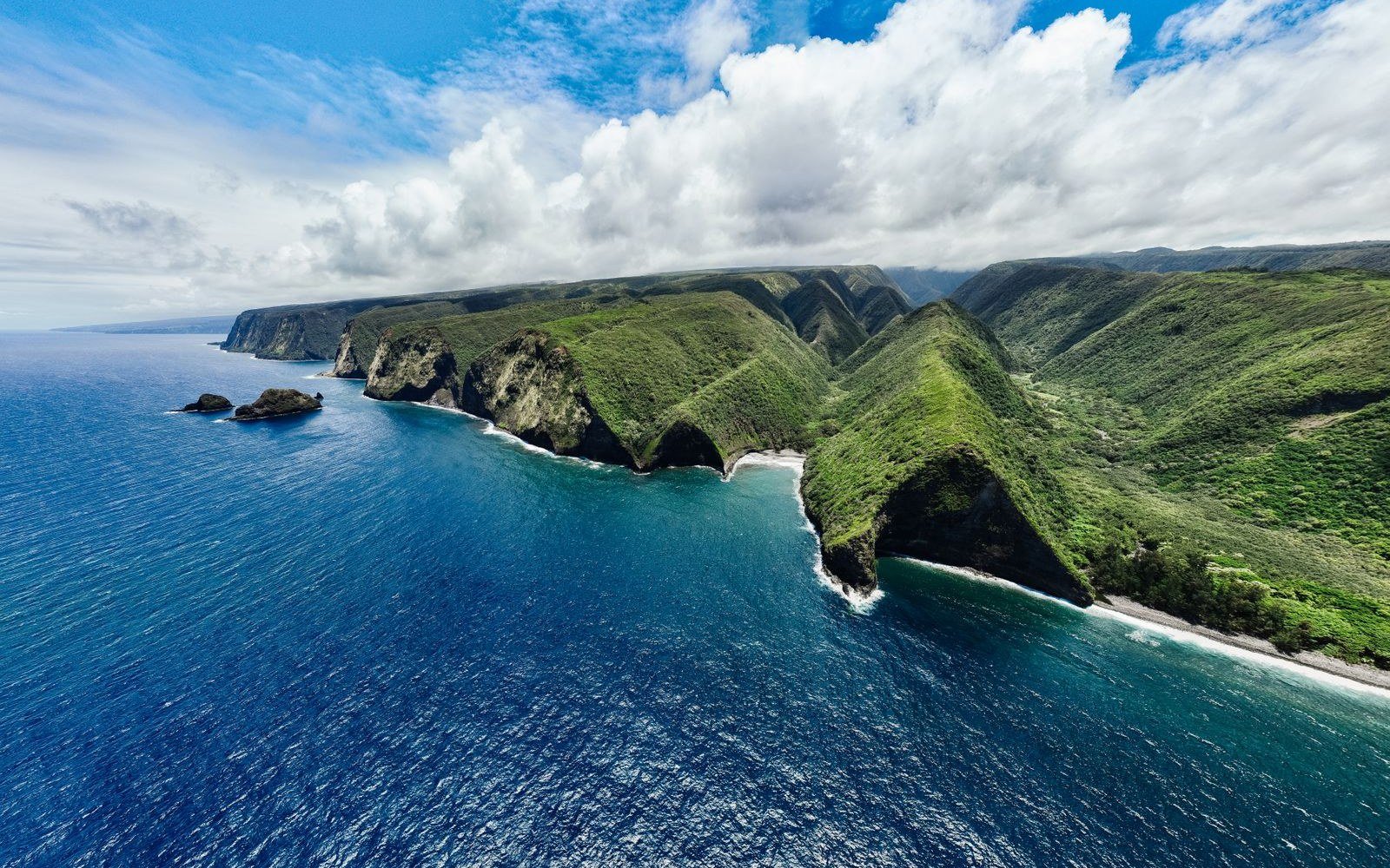 Green sea cliffs of the Hamakua coast on Hawaii's Big Island, with surf breaking below
