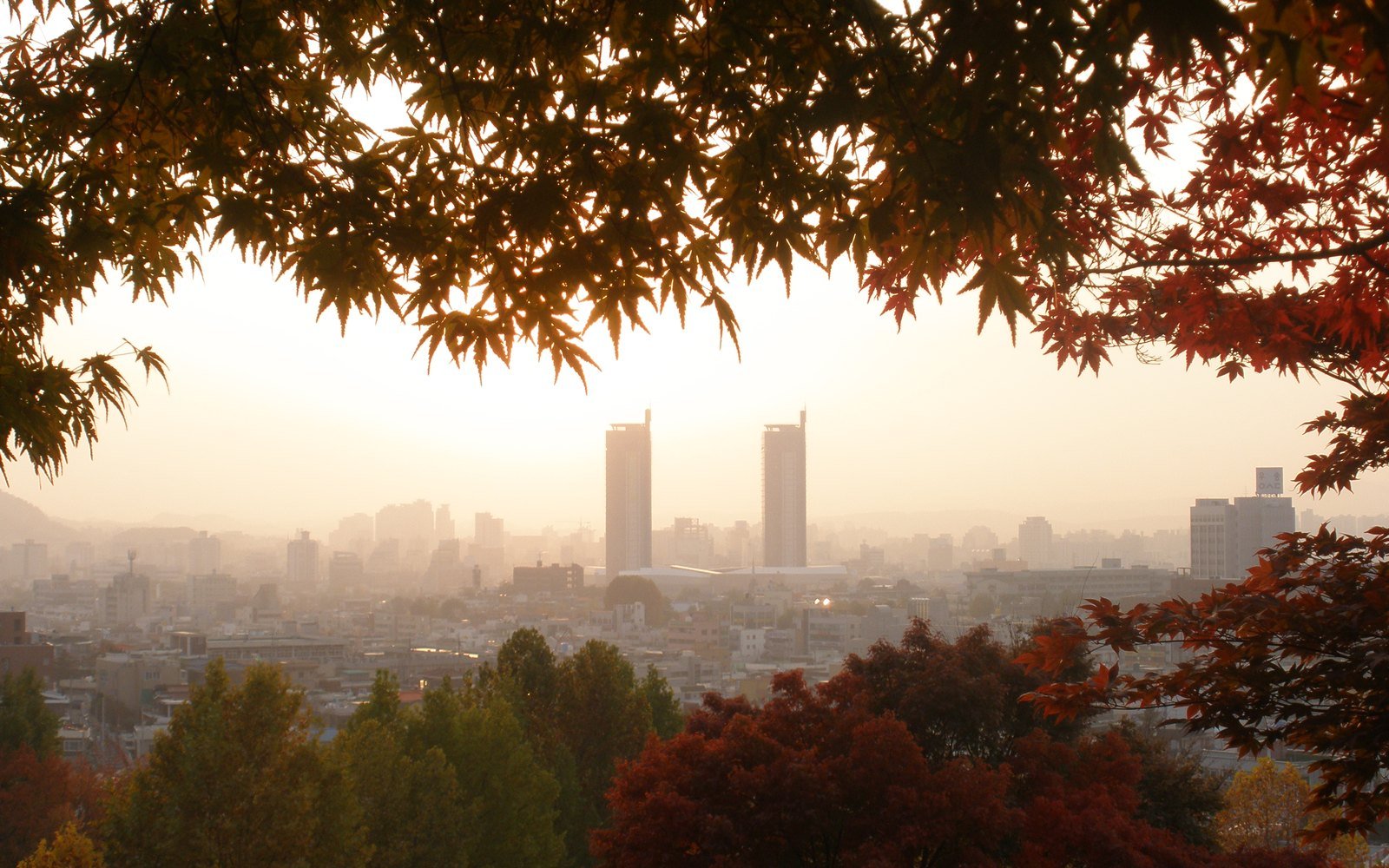 The skyline of Daejeon seen from a wooded hillside, twin towers standing above the city in low light