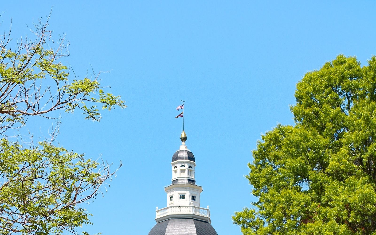 The white cupola of the Maryland State House in Annapolis rising above trees against a clear blue sky