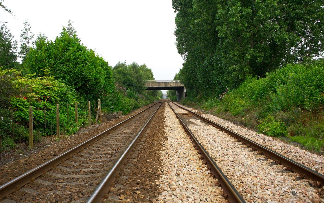 A twin track railway running between dense green lineside vegetation towards an overbridge