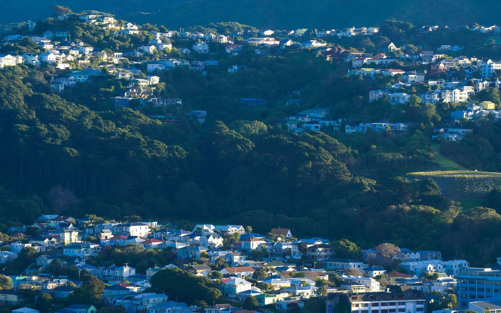 Timber houses with pale roofs stepping down a steep hillside in low evening sun, dense native bush rising behind them and the roofs of a further street visible at the bottom of the slope