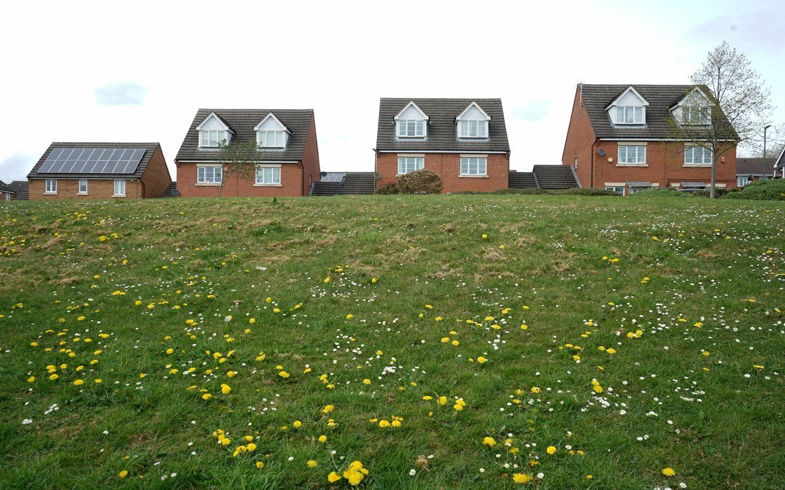 A wildflower meadow rising to a line of new houses with pitched roofs and roof mounted solar panels