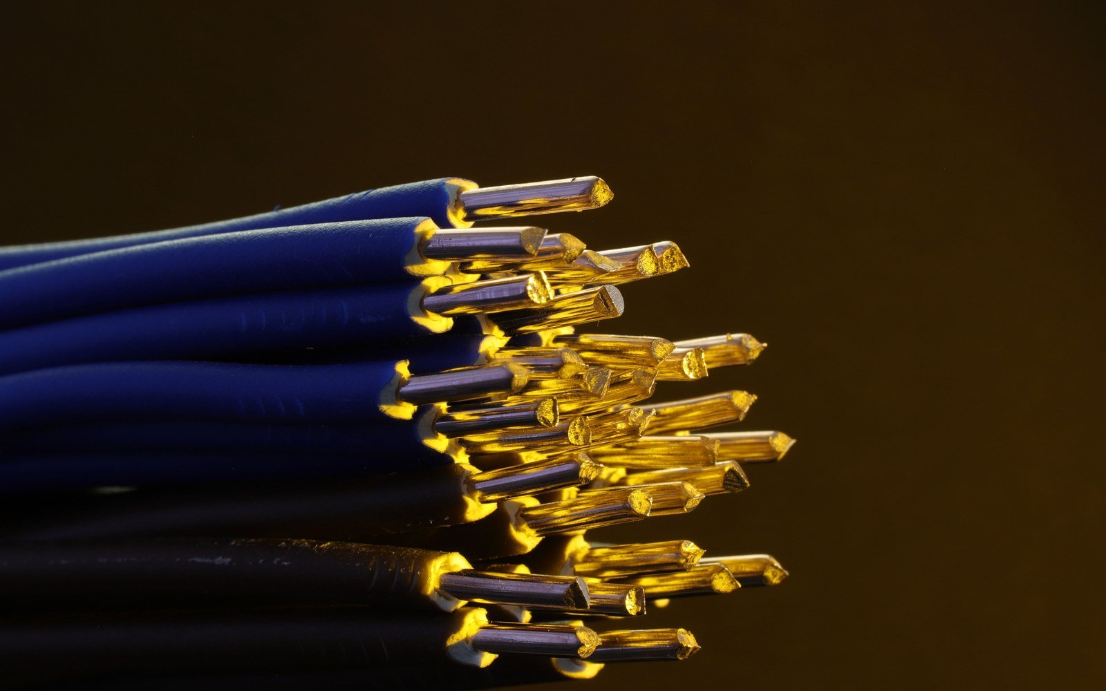 Close view of the cut ends of a bundle of insulated electrical conductors against a dark background