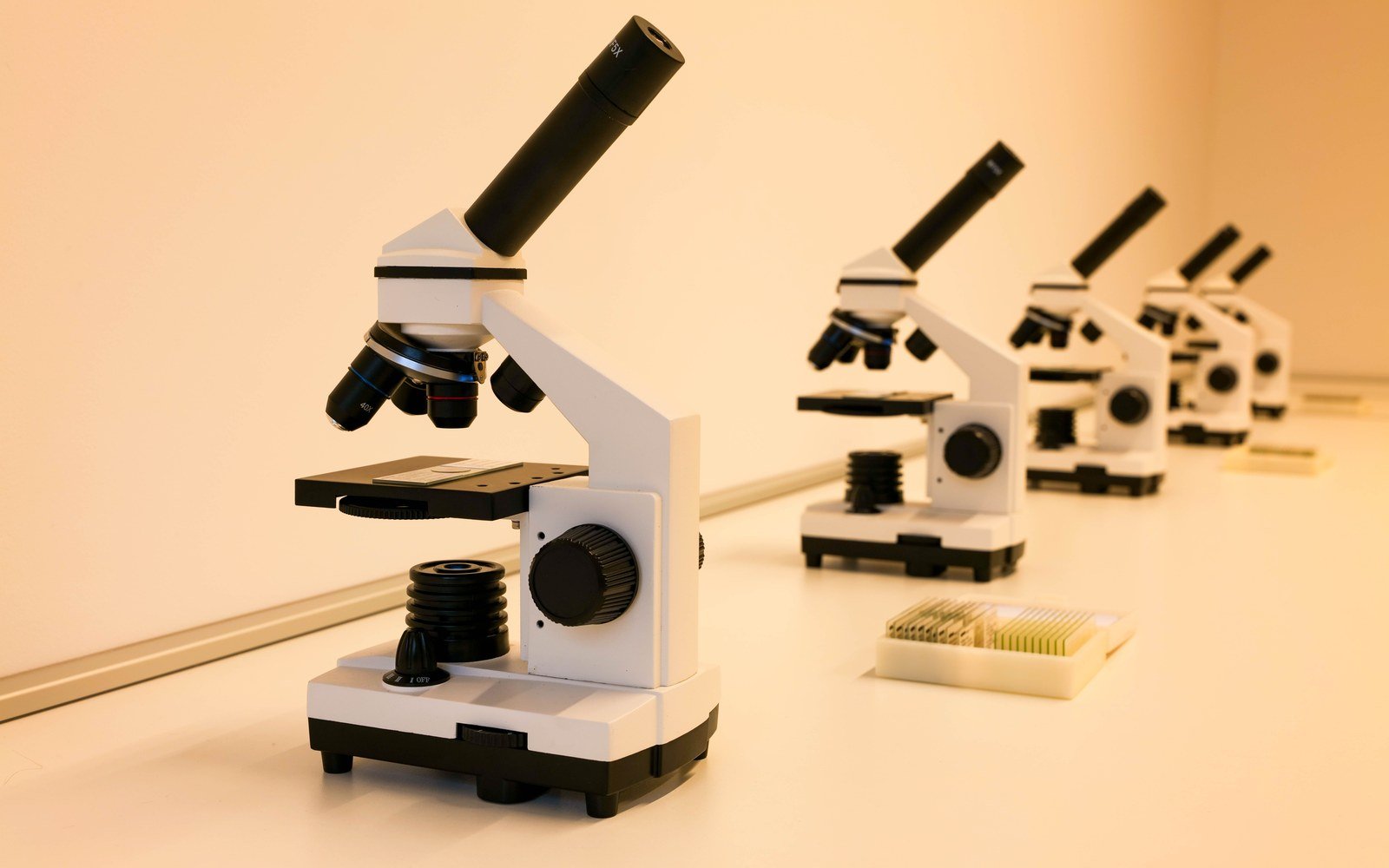 A row of laboratory microscopes on a bench, with a tray of prepared slides beside them