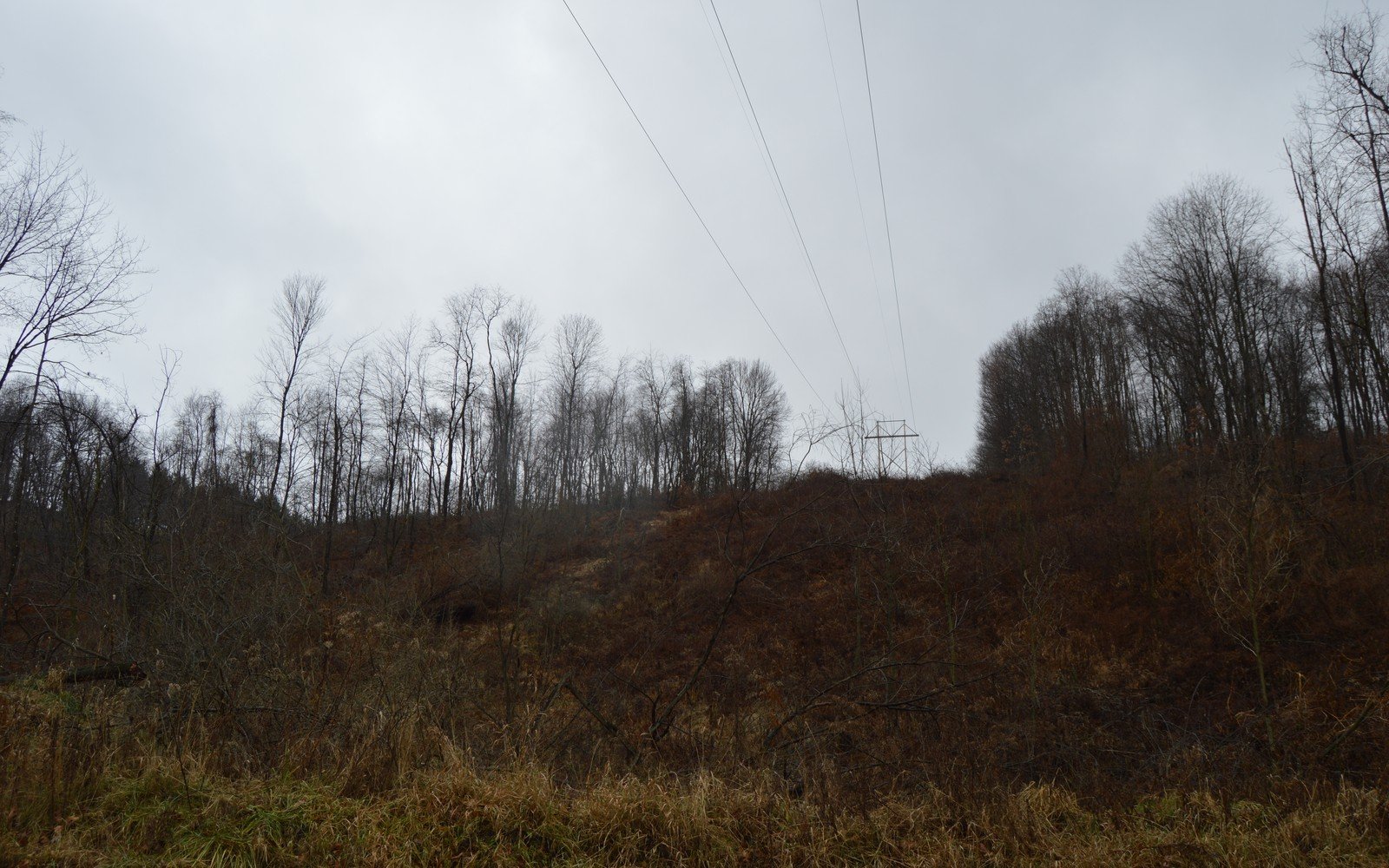Overhead power lines crossing a wooded hillside of bare winter trees in Perry Township, Armstrong County, Pennsylvania, with a single lattice pylon on the ridge
