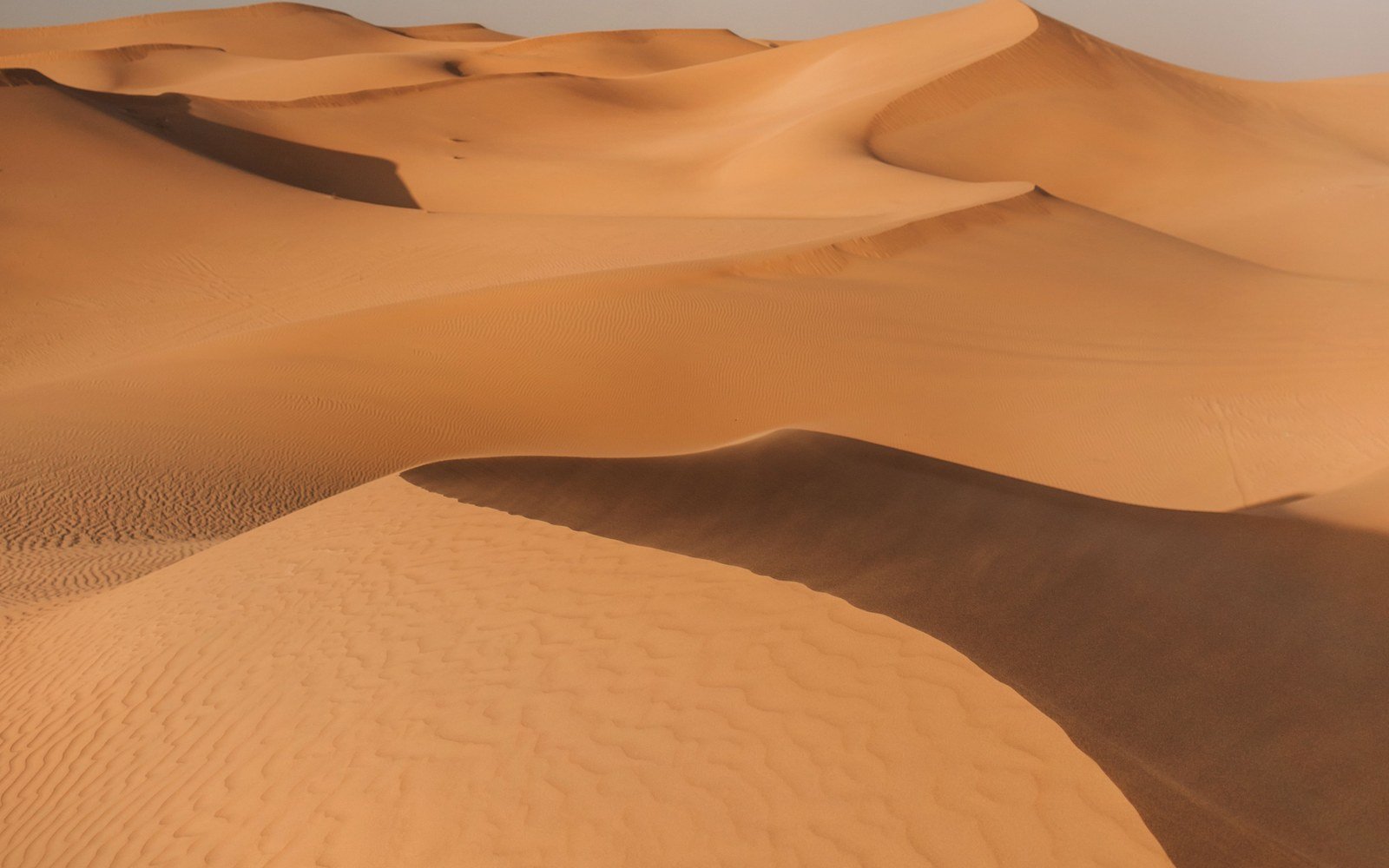 Wind-sculpted sand dunes under a clear sky in the Abu Dhabi desert, with a long shadow falling across the face of the nearest dune