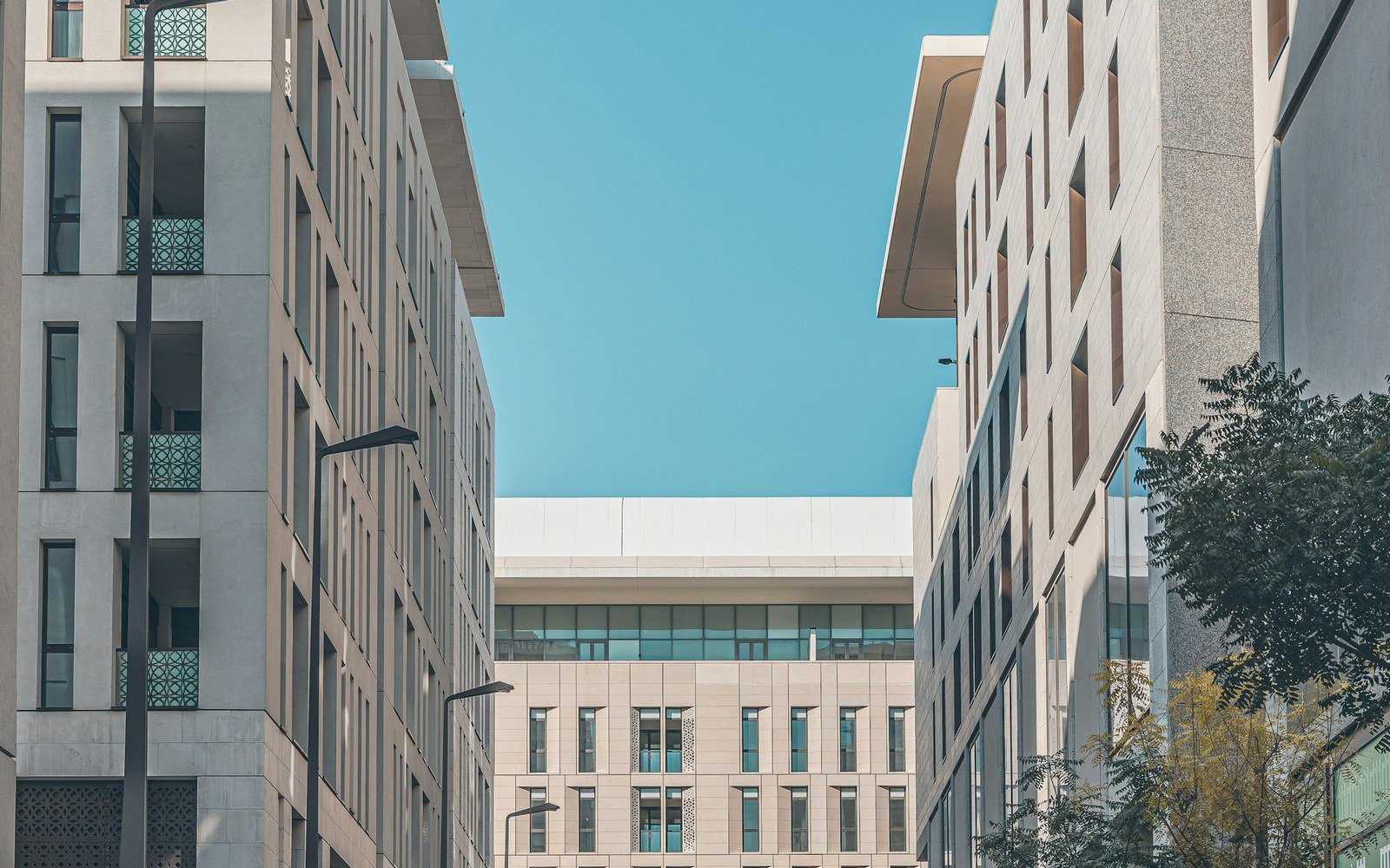 A street between modern low-rise buildings with pale stone and white facades, deep window reveals and a slim tree at the kerb, under a clear sky