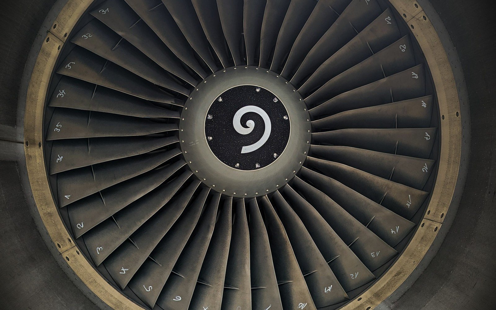 The fan face of a large aircraft engine seen end on, showing the blades and the spinner
