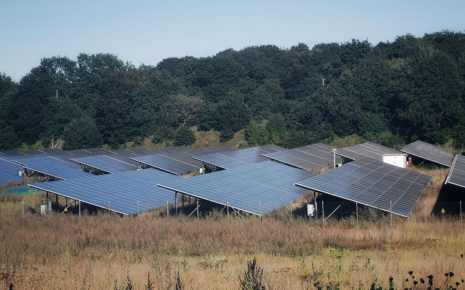 Rows of ground mounted solar panels on steel frames in rough grassland, a wooded ridge behind and a small equipment cabinet between two arrays