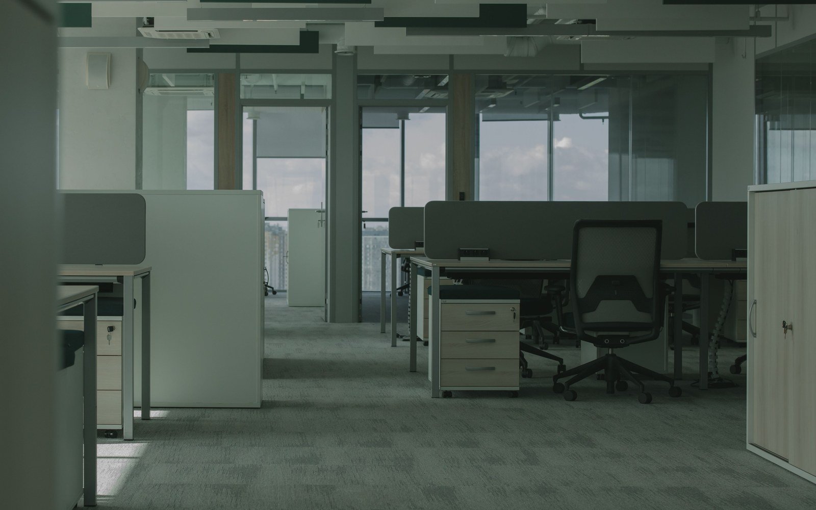 An empty fitted out office floor with pale timber desks, mesh task chairs, low screens and pedestal units, lit by full height glazing