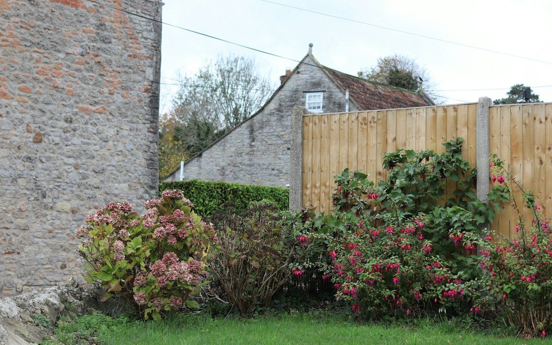 A new close boarded timber fence with a concrete post beside an older stone wall, with shrubs and grass in front
