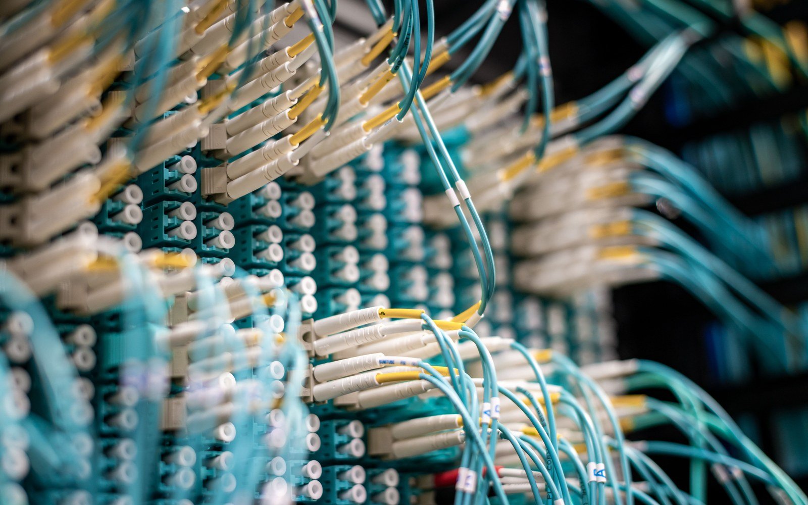 A close view of a fibre patch panel, rows of teal sockets with white connector bodies plugged into them and aqua patch cords looping away out of focus