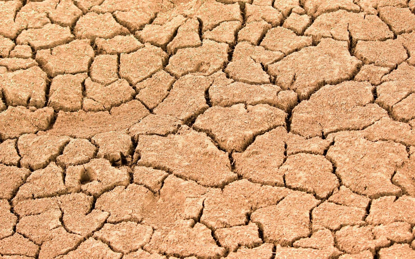 Baked ground broken into hard plates by drought, the cracks running deep between them and dead grass caught in the surface