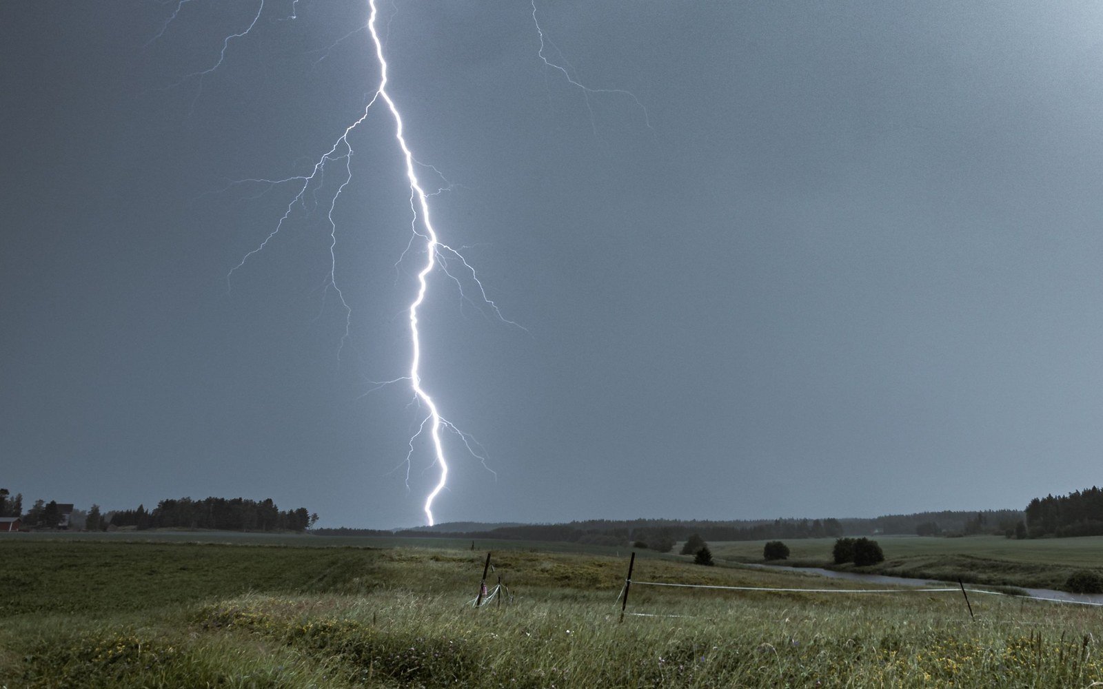 A single lightning bolt striking down into open grassland under a heavy grey storm sky, a line of trees on the far horizon