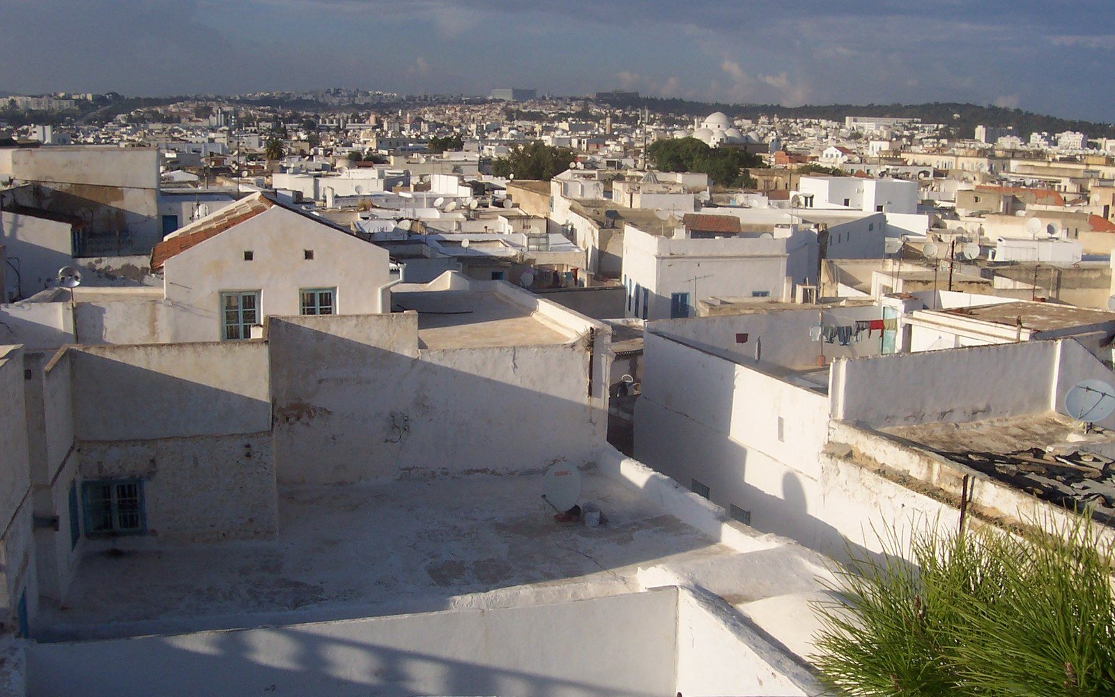 The flat white rooftops of the medina in Tunis stepping away towards the wider city, with low hills on the horizon