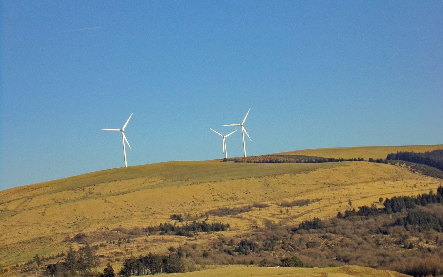Three white wind turbines on a grassy upland ridge above conifer plantation at Cymmer in Wales under a clear blue sky