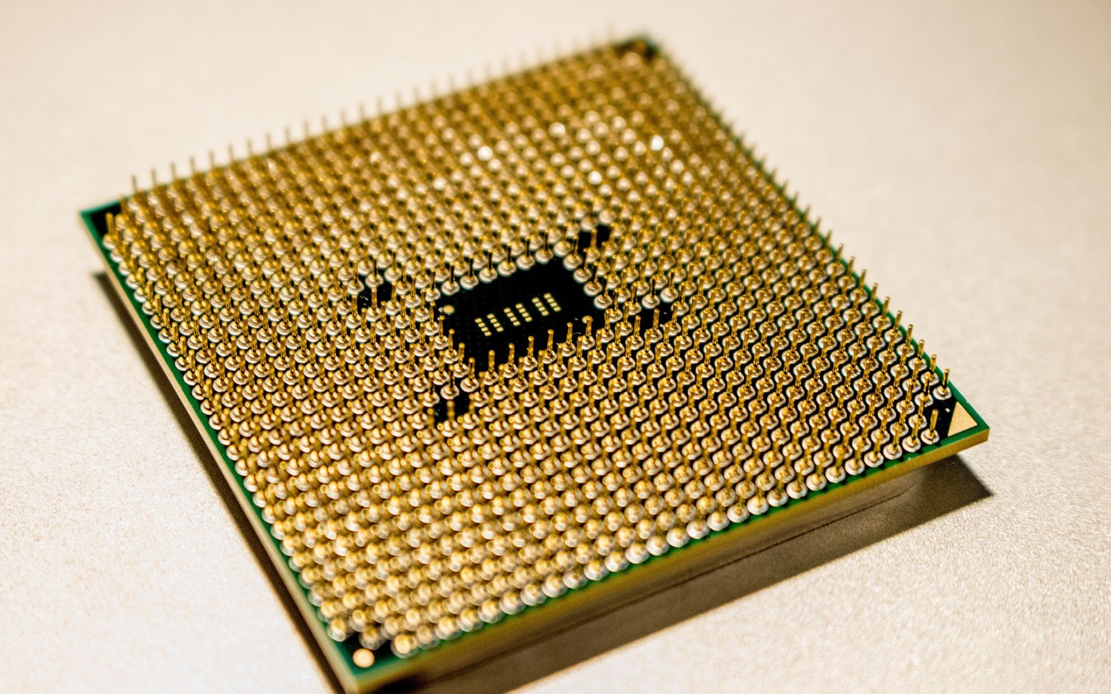 The underside of a gold coloured processor package, its grid of contact pins in close view against a white surface