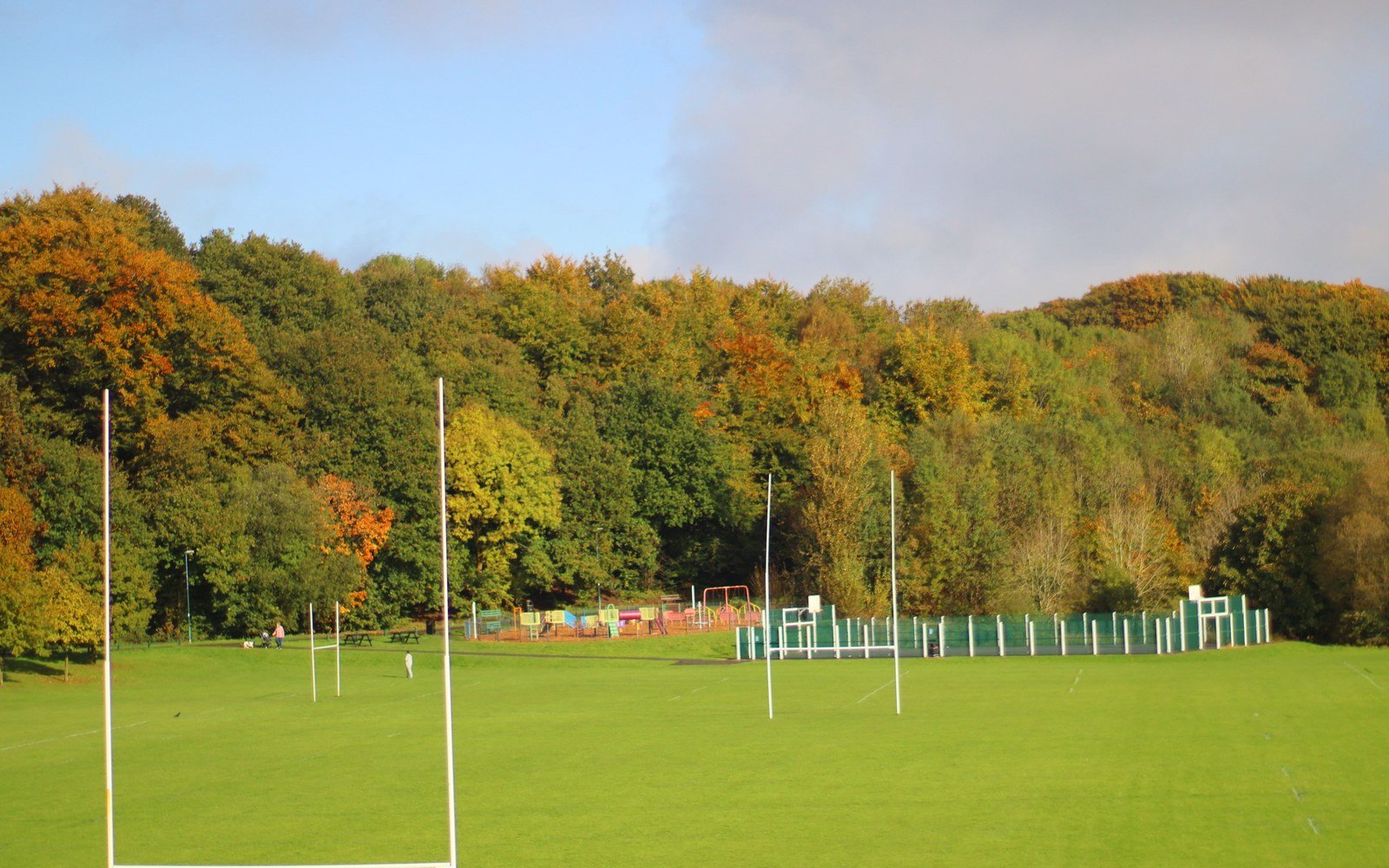 A green rugby pitch with white posts in front of a line of autumn trees, a fenced games court at the far side under a pale sky