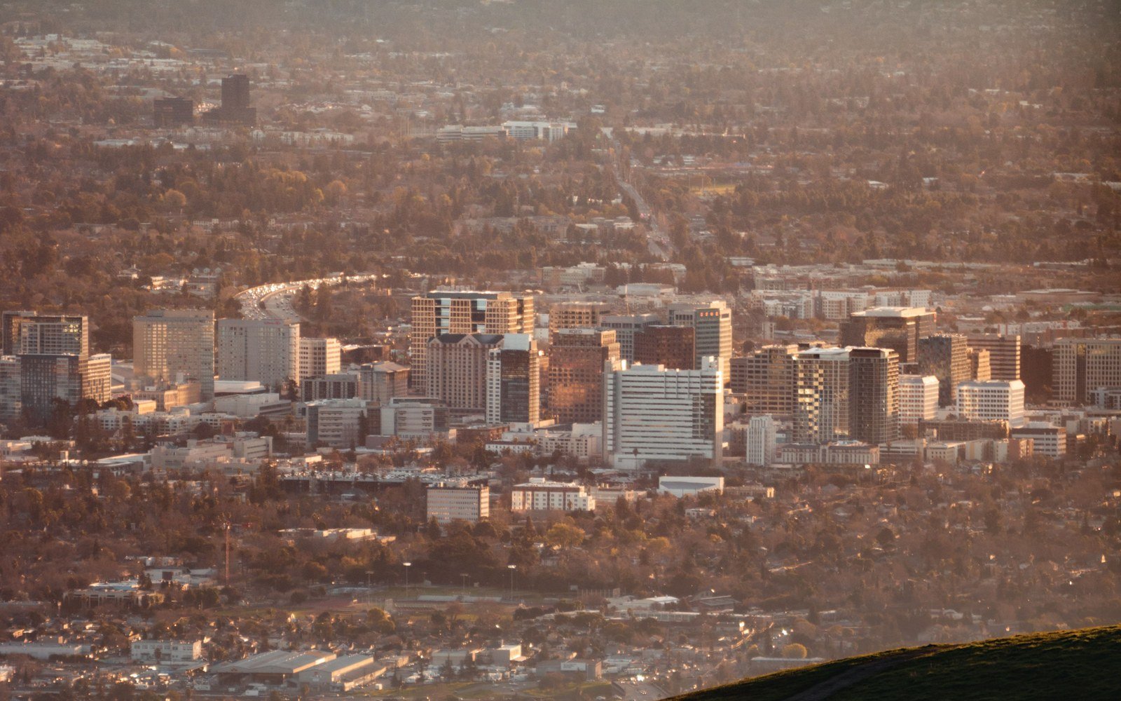 The office towers of downtown San Jose in hazy evening light, seen from the hills with a grassy slope in the near corner