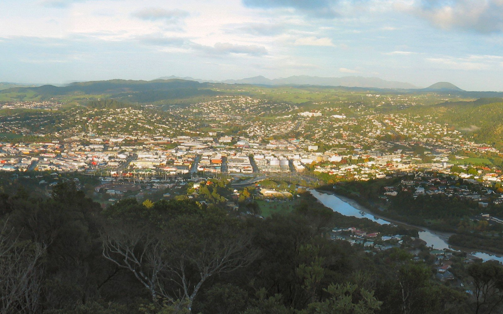 A town spread across a river valley below wooded hills, seen from a high viewpoint through treetops