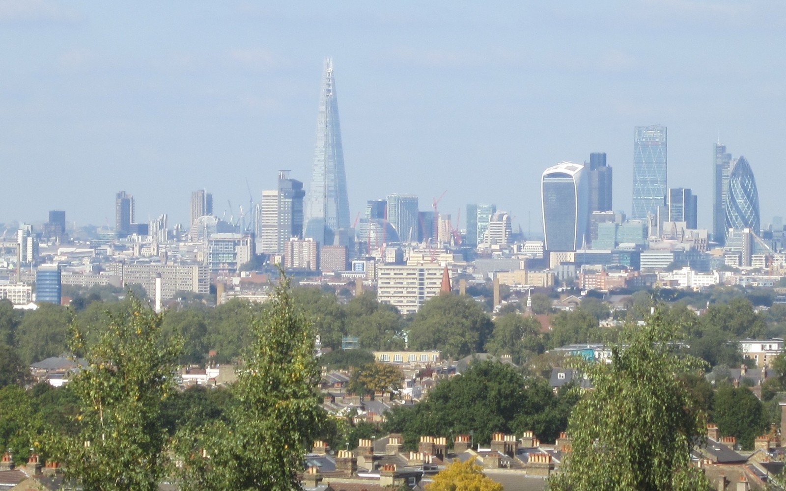 The City of London skyline seen from the south across trees and rooftops, with tower cranes standing among the office towers