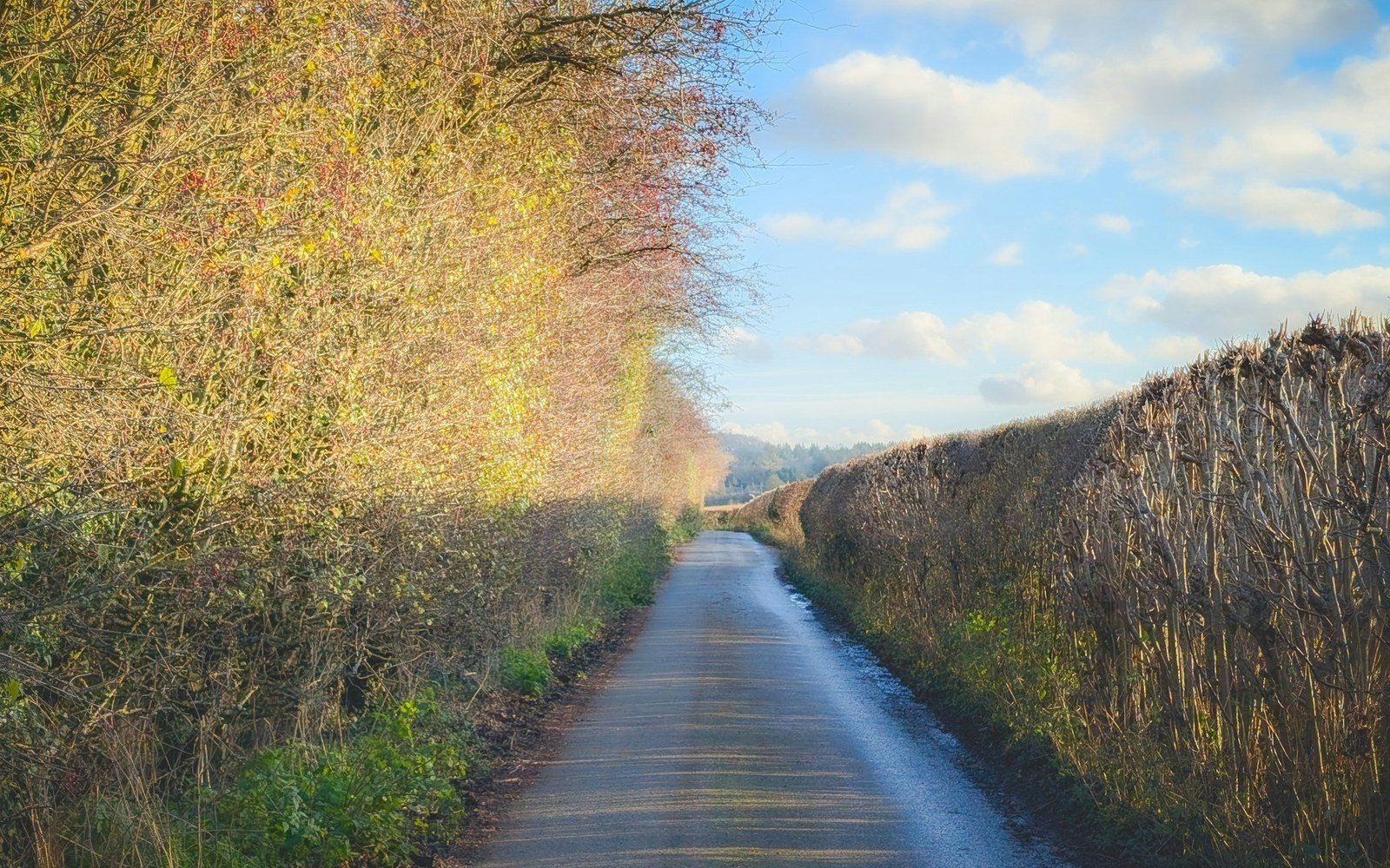 A narrow single track road running between high hedges under a part clouded sky, with autumn colour in the trees on one side