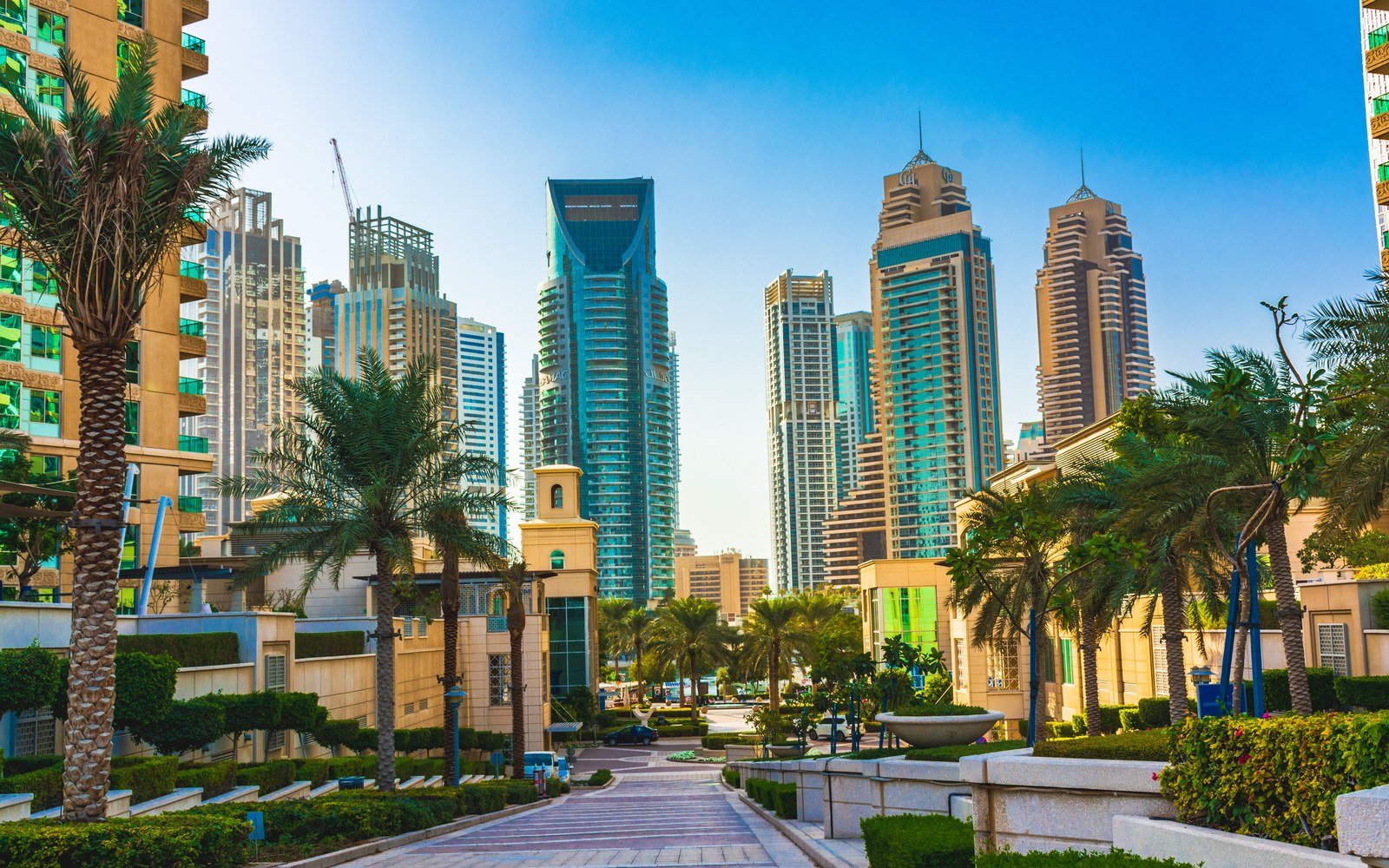 Glass and stone residential towers in Dubai above a paved promenade lined with palms and clipped hedges under a clear blue sky, a tower crane standing behind the towers at the left