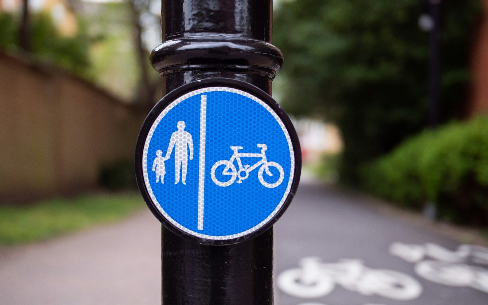 A blue circular sign on a black post showing a walking figure beside a bicycle either side of a dividing line, with a tarmac path and painted cycle markings behind