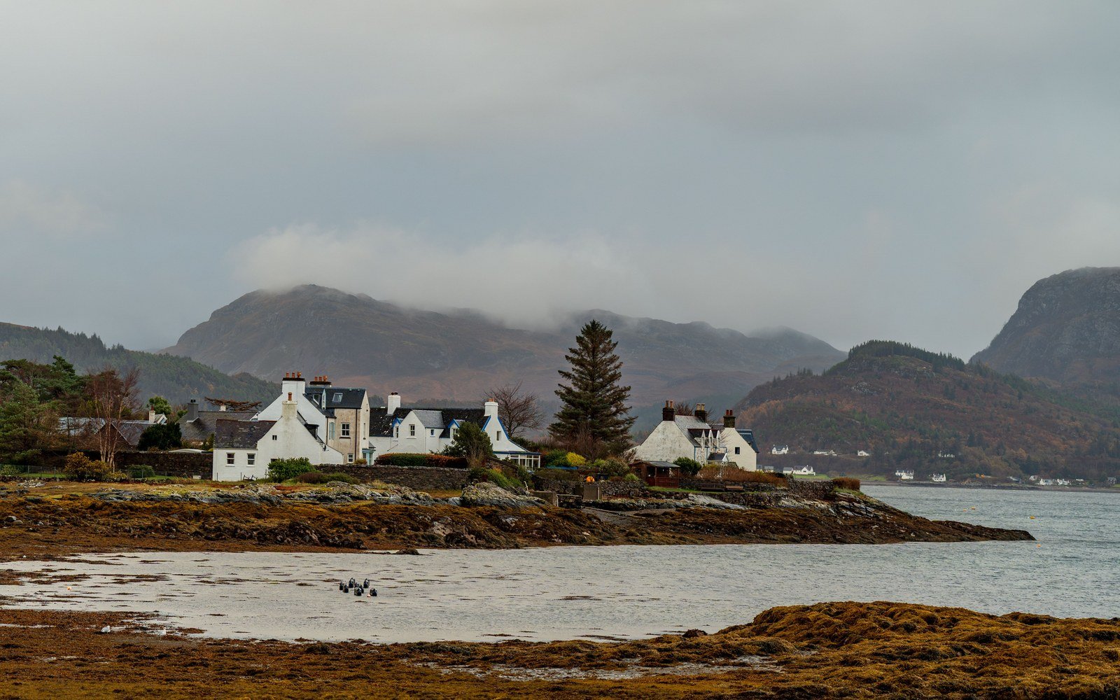 White-painted houses among trees on a rocky shore in a coastal village in the Scottish Highlands, with cloud-covered hills across the water
