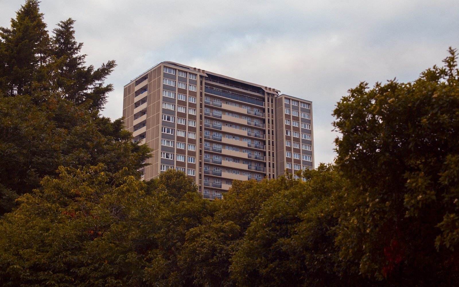 A mid-rise residential tower block rising above a line of mature trees under a cloudy sky
