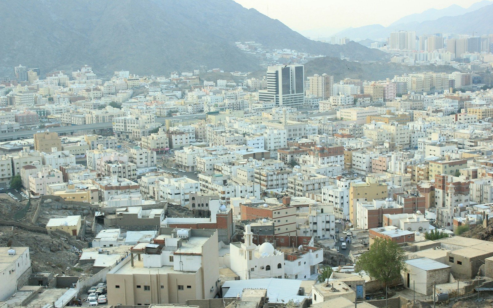 A dense cityscape of flat-roofed low-rise buildings and a few towers spreading towards a bare rocky mountain under haze