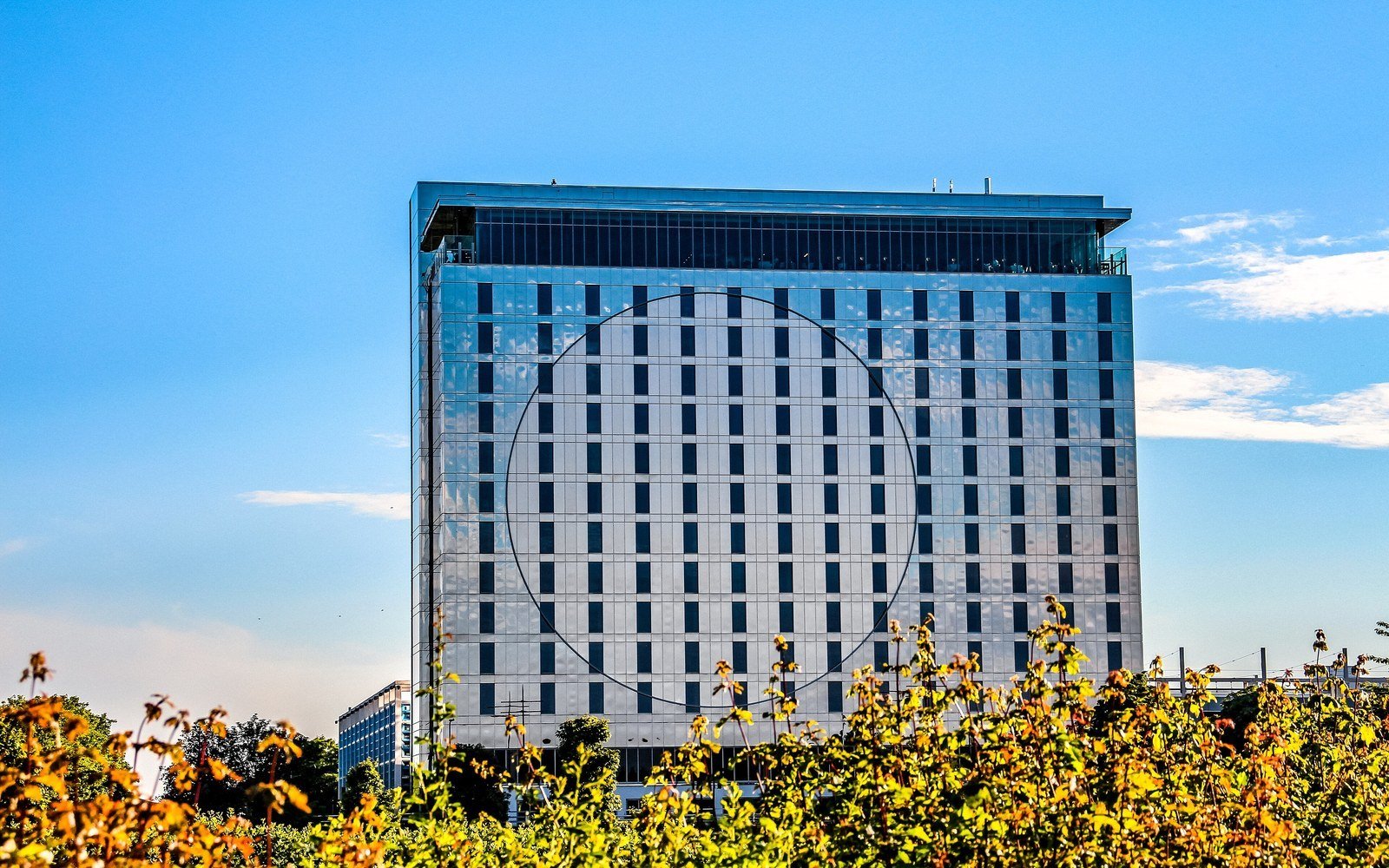 A glass and steel office tower rising above autumn trees and shrubs in a city park under a clear blue sky