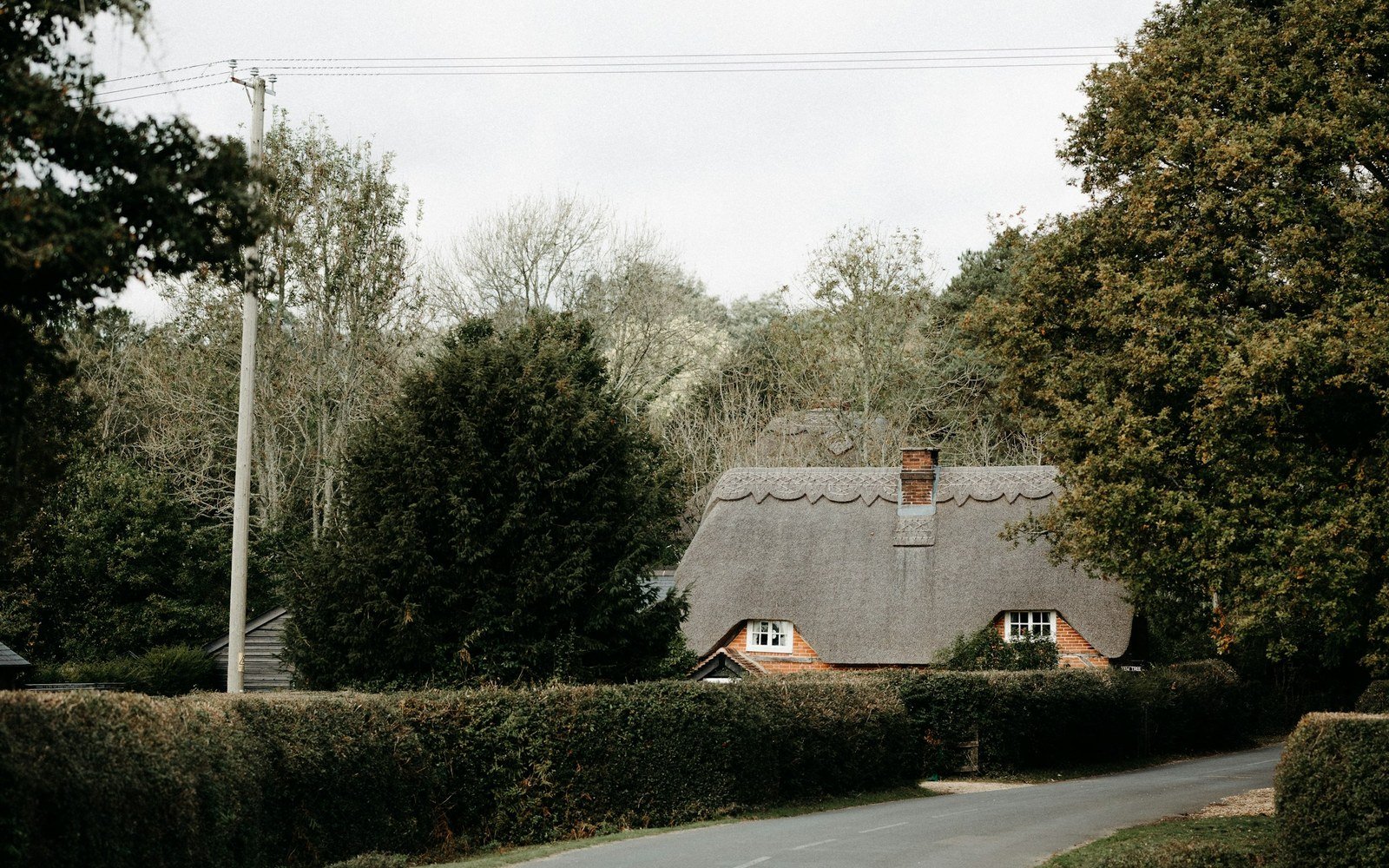 A quiet rural road curving past a clipped hedge towards a thatched cottage among mature trees under a grey sky